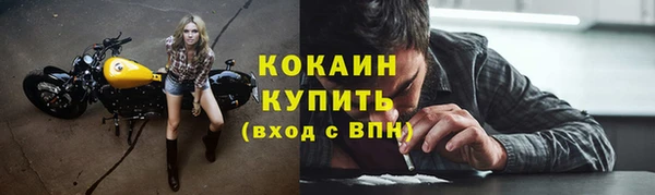 твердый Алексин