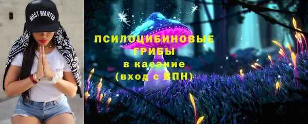 твердый Алексин