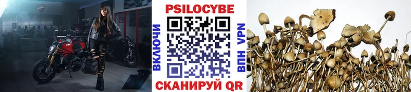 сайты даркнета состав  Ковылкино  Псилоцибиновые грибы Psilocybine cubensis 